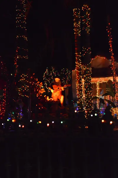 DSC_5791 (Large).JPG